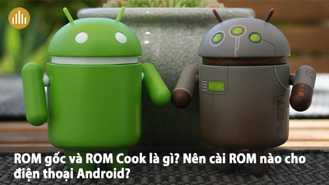 rom-cook-la-gi-2