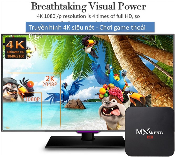 Androi TV Box Truyền hình 4K MXQ Pro Xem truyền hình trực tuyến, Kodi, FPT Play, Youtube, CH Play