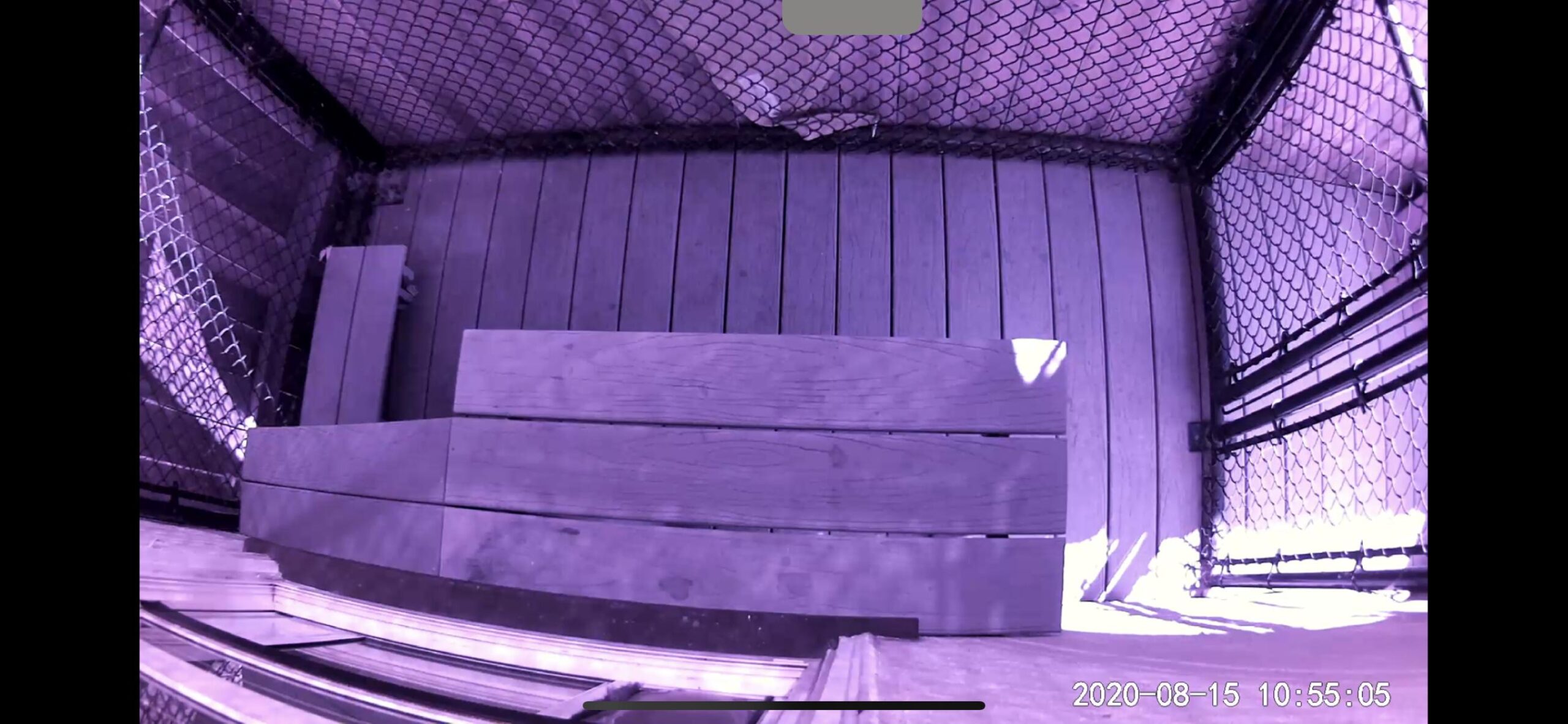 Hình ảnh camera Tapo bị ám tím